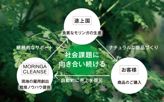 モリンガクレンズ<30包> MORINGA CLEANSE スーパーフード | ビューティー専科（タイセイ商事）